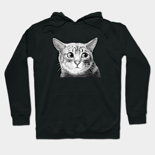 Side Eye Cat Hoodie